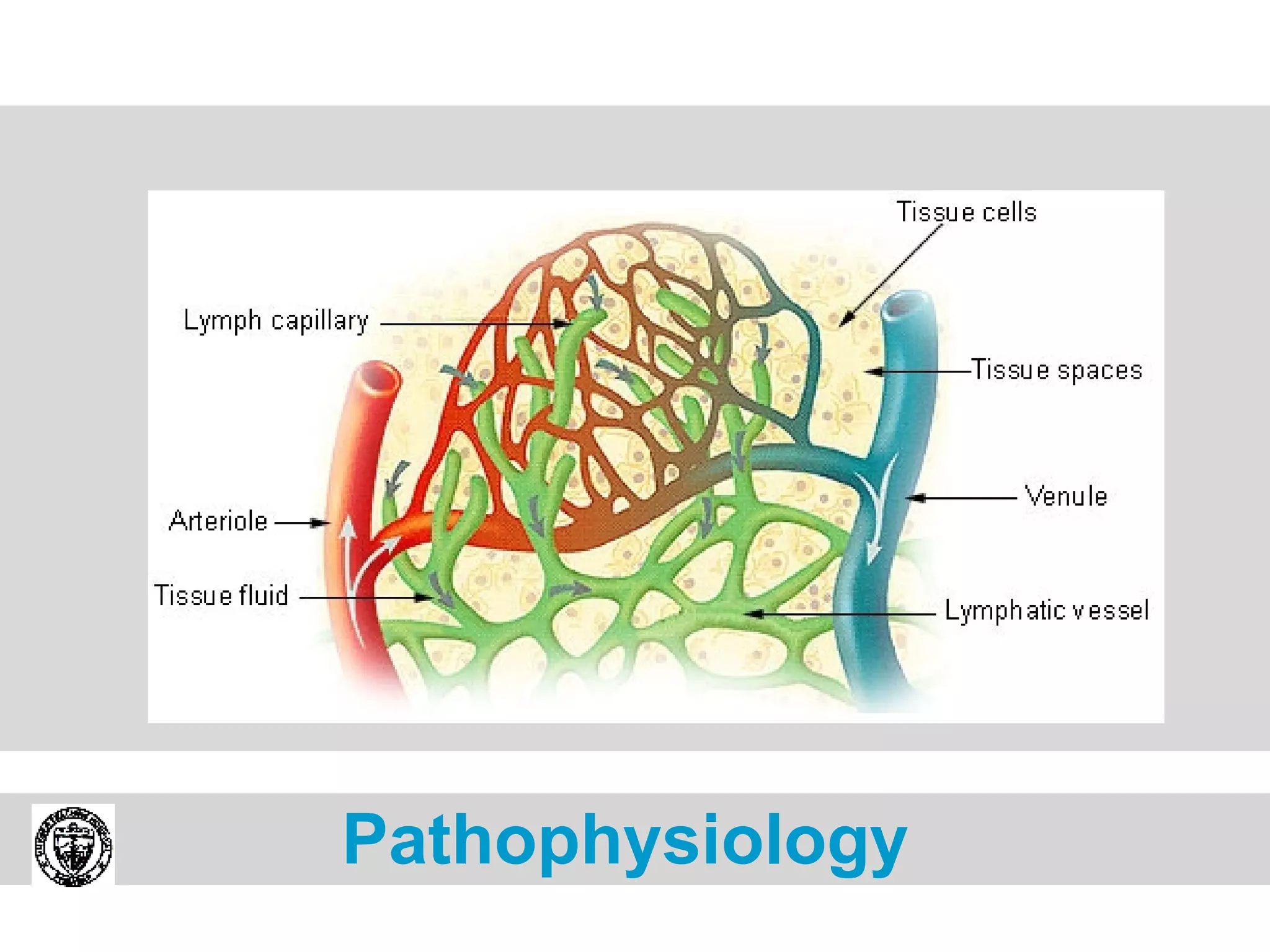 Pathophysiology  