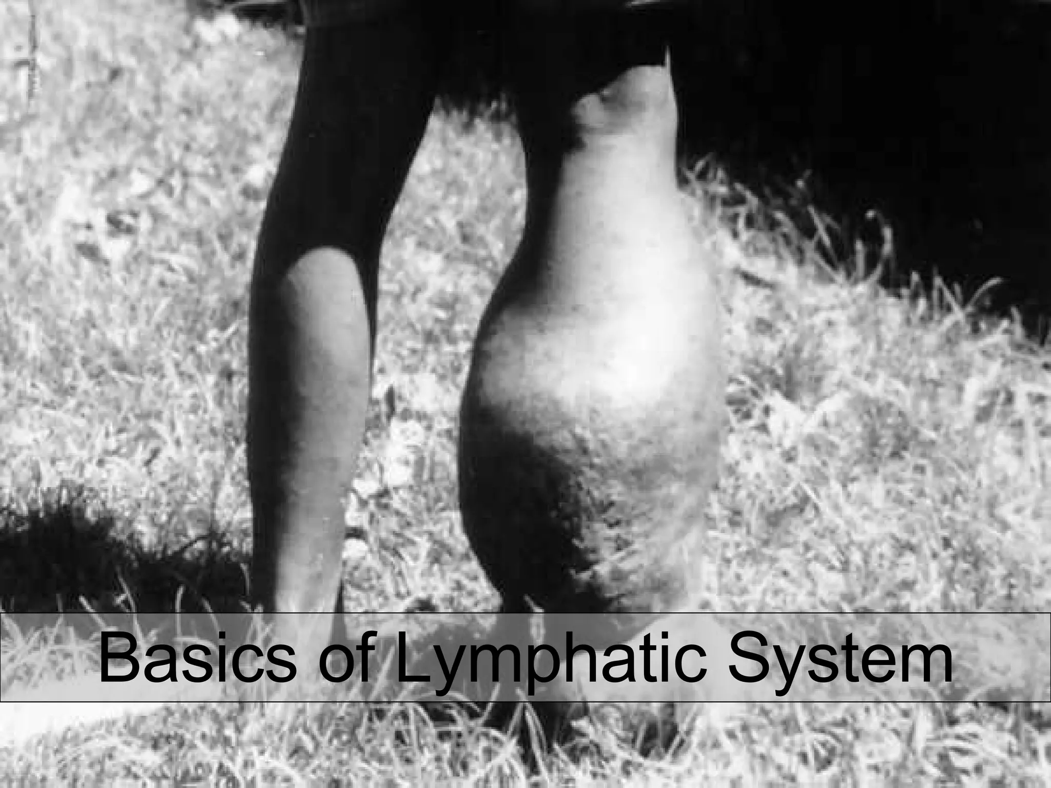 Basics of Lymphatic System 