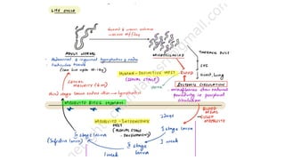Lymphedema.pdf