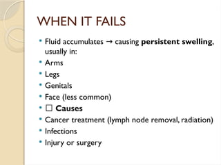 WHEN IT FAILS
 Fluid accumulates causing
→ persistent swelling,
usually in:
 Arms
 Legs
 Genitals
 Face (less common)
 🔹 Causes
 Cancer treatment (lymph node removal, radiation)
 Infections
 Injury or surgery
 