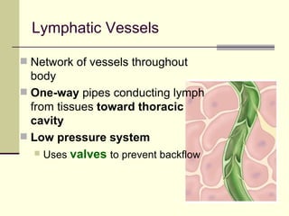 Lymphatic Vessels

 Network of vessels throughout
  body
 One-way pipes conducting lymph
  from tissues toward thoracic
  cavity
 Low pressure system
    Uses valves to prevent backflow
 