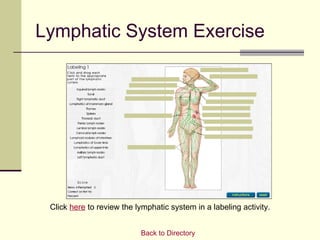Lymphatic System Exercise




 Click here to review the lymphatic system in a labeling activity.


                           Back to Directory
 