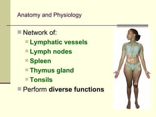 Anatomy and Physiology

 Network of:
   Lymphatic  vessels
   Lymph nodes
   Spleen
   Thymus gland
   Tonsils

 Perform diverse functions
 