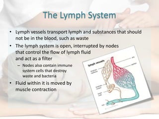 Lymph Massage | PPTX