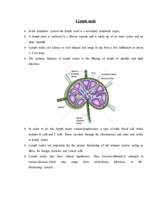Lymph node | DOCX