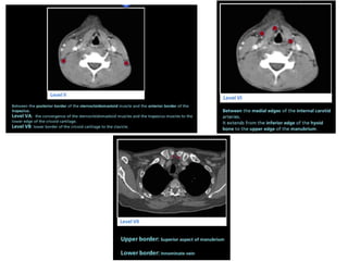 Lymph node anatomy for pet ct | PPTX