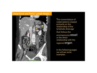 Lymph node anatomy for pet ct | PPTX