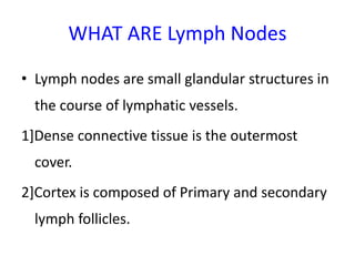 WHAT ARE Lymph Nodes
• Lymph nodes are small glandular structures in
the course of lymphatic vessels.
1]Dense connective tissue is the outermost
cover.
2]Cortex is composed of Primary and secondary
lymph follicles.
 