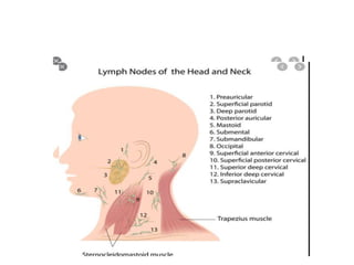 Lymph node biopsy