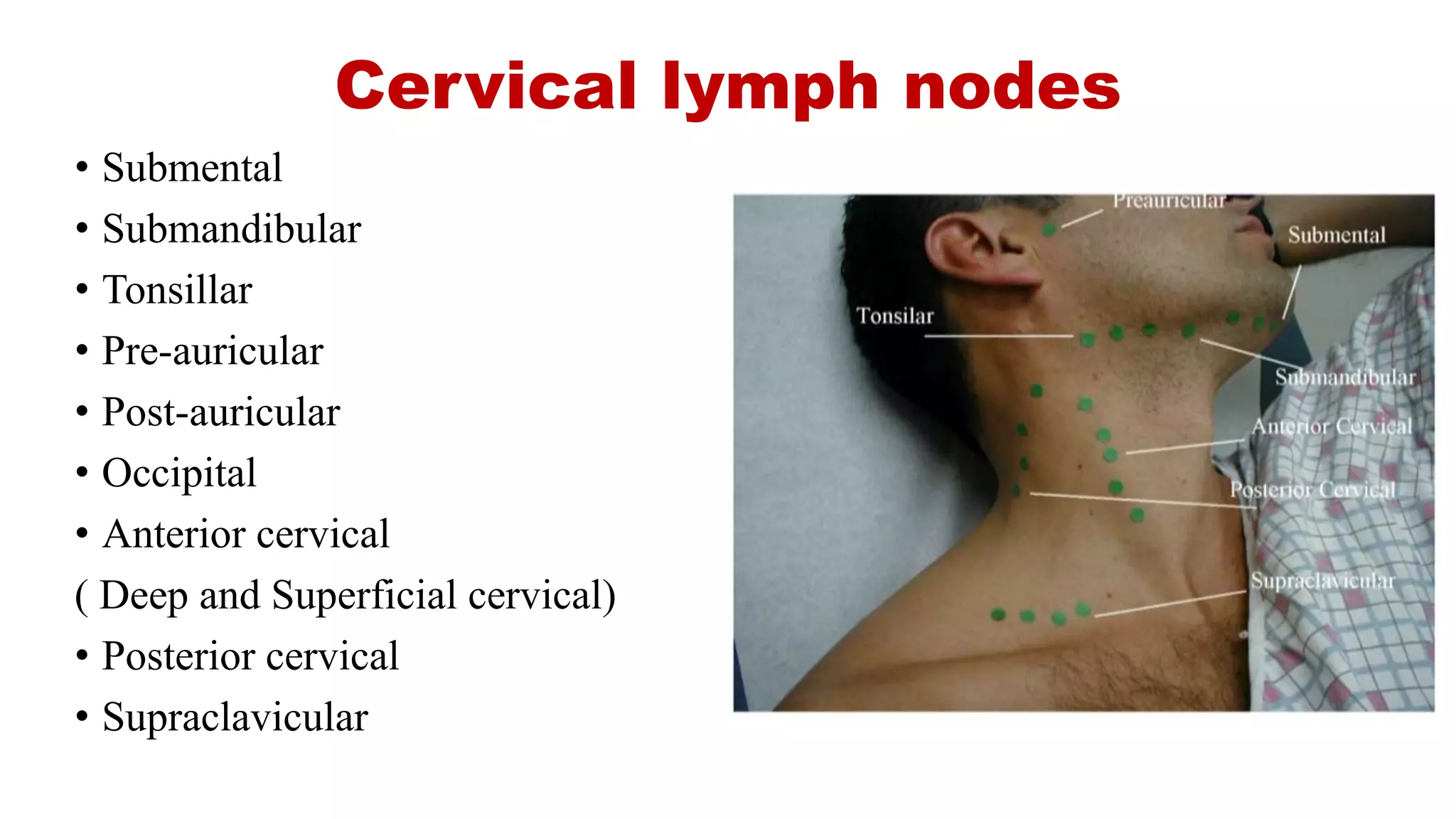 Lymph Nodes Examination PPTX
