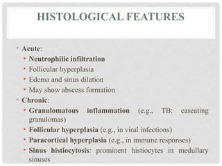 HISTOLOGICAL FEATURES
• Acute:
• Neutrophilic infiltration
• Follicular hyperplasia
• Edema and sinus dilation
• May show abscess formation
• Chronic:
• Granulomatous inflammation (e.g., TB: caseating
granulomas)
• Follicular hyperplasia (e.g., in viral infections)
• Paracortical hyperplasia (e.g., in immune responses)
• Sinus histiocytosis: prominent histiocytes in medullary
sinuses
 
