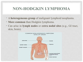 NON-HODGKIN LYMPHOMA
• A heterogeneous group of malignant lymphoid neoplasms.
• More common than Hodgkin lymphoma.
• Can arise in lymph nodes or extra nodal sites (e.g., GI tract,
skin, brain).
 