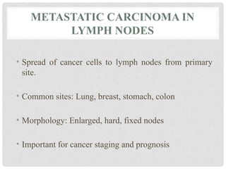 METASTATIC CARCINOMA IN
LYMPH NODES
• Spread of cancer cells to lymph nodes from primary
site.
• Common sites: Lung, breast, stomach, colon
• Morphology: Enlarged, hard, fixed nodes
• Important for cancer staging and prognosis
 