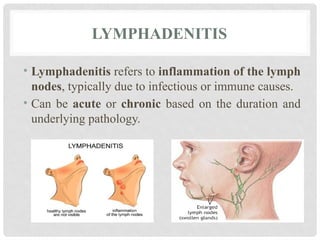 LYMPHADENITIS
• Lymphadenitis refers to inflammation of the lymph
nodes, typically due to infectious or immune causes.
• Can be acute or chronic based on the duration and
underlying pathology.
 
