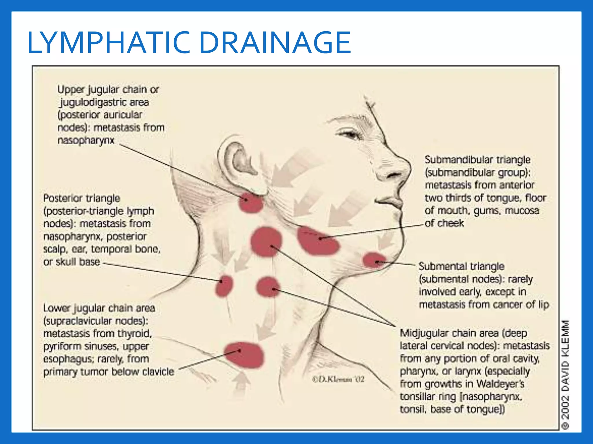 Histology and pathology of lymph nodes | PPTX