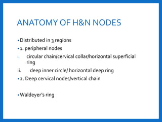 Histology and pathology of lymph nodes | PPTX