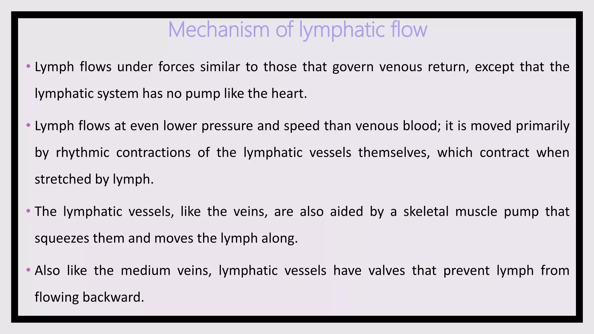 Lymph Nodes | PPTX