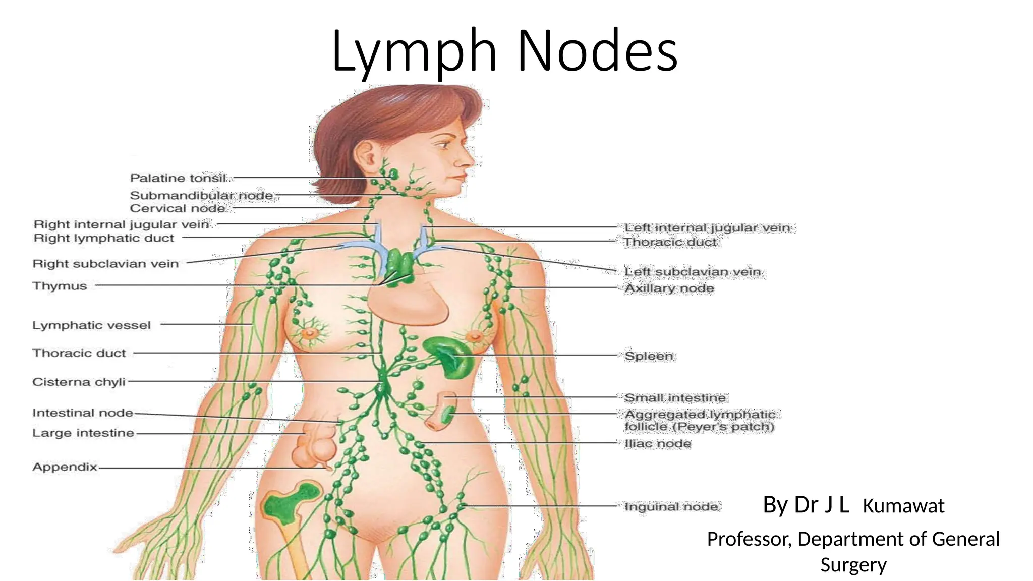Lymph Notes Big Lymph Nodes general surgery notes srb.pptx