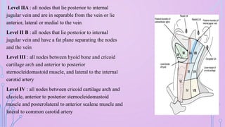 lymphatics , examination of lymph nodes. | PPTX