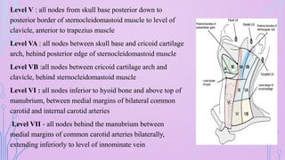 Level Vb Node lymphatics , examination of lymph nodes. | PPTX