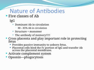 Nature of Antibodies
 Five classes of Ab
IgG
 Dominant Ab in circulation
• 80 – 85% Ab in circulation
 Structure = monomer
 The antibody of memory!!!!!
 Cross placenta and play important role in protecting
fetus
 Provides passive immunity to unborn fetus.
 Placental cells bind the Fc portion of IgG and transfer Ab
across the placental membrane.
 Activate complement system
 Opsonin—phagocytosis
 