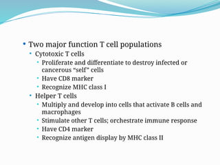  Two major function T cell populations
 Cytotoxic T cells
 Proliferate and differentiate to destroy infected or
cancerous “self” cells
 Have CD8 marker
 Recognize MHC class I
 Helper T cells
 Multiply and develop into cells that activate B cells and
macrophages
 Stimulate other T cells; orchestrate immune response
 Have CD4 marker
 Recognize antigen display by MHC class II
 