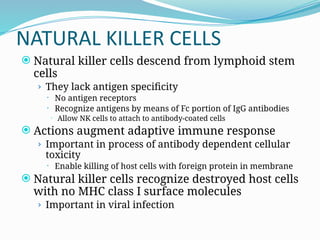 NATURAL KILLER CELLS
 Natural killer cells descend from lymphoid stem
cells
› They lack antigen specificity
 No antigen receptors
 Recognize antigens by means of Fc portion of IgG antibodies
 Allow NK cells to attach to antibody-coated cells
 Actions augment adaptive immune response
› Important in process of antibody dependent cellular
toxicity
 Enable killing of host cells with foreign protein in membrane
 Natural killer cells recognize destroyed host cells
with no MHC class I surface molecules
› Important in viral infection
 