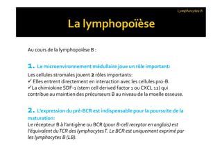 Au cours de la lymphopoïèse B :
1. Le microenvironnement médullaire joue un rôle important:
Les cellules stromales jouent 2 rôles importants:
 Elles entrent directement en interaction avec les cellules pro-B.
La chimiokine SDF-1 (stem cell derived factor 1 ou CXCL 12) qui
contribue au maintien des précurseurs B au niveau de la moelle osseuse.
2. L’expression du pré-BCR est indispensable pour la poursuite de la
maturation:
Le récepteur B à l’antigène ou BCR (pour B-cell receptor en anglais) est
l’équivalent duTCR des lymphocytesT. Le BCR est uniquement exprimé par
les lymphocytes B (LB).
Lymphocytes B
Au cours de la lymphopoïèse B :
1. Le microenvironnement médullaire joue un rôle important:
Les cellules stromales jouent 2 rôles importants:
 Elles entrent directement en interaction avec les cellules pro-B.
La chimiokine SDF-1 (stem cell derived factor 1 ou CXCL 12) qui
contribue au maintien des précurseurs B au niveau de la moelle osseuse.
2. L’expression du pré-BCR est indispensable pour la poursuite de la
maturation:
Le récepteur B à l’antigène ou BCR (pour B-cell receptor en anglais) est
l’équivalent duTCR des lymphocytesT. Le BCR est uniquement exprimé par
les lymphocytes B (LB).
 