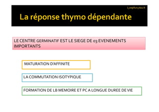 LE CENTRE GERMINATIF EST LE SIEGE DE 03 EVENEMENTS
IMPORTANTS
LE CENTRE GERMINATIF EST LE SIEGE DE 03 EVENEMENTS
IMPORTANTS
Lymphocytes B
MATURATION D’AFFINITE
LA COMMUTATION ISOTYPIQUE
FORMATION DE LB MEMOIRE ET PC A LONGUE DUREE DEVIE
 