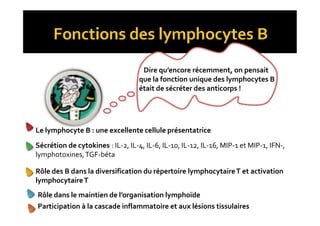 Dire qu’encore récemment, on pensait
que la fonction unique des lymphocytes B
était de sécréter des anticorps !
Le lymphocyte B : une excellente cellule présentatrice
Sécrétion de cytokines : IL-2, IL-4, IL-6, IL-10, IL-12, IL-16, MIP-1 et MIP-1, IFN-,
lymphotoxines,TGF-béta
Rôle des B dans la diversification du répertoire lymphocytaireT et activation
lymphocytaireT
Rôle dans le maintien de l’organisation lymphoïde
Participation à la cascade inflammatoire et aux lésions tissulaires
 