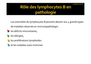 Les anomalies du lymphocytes B peuvent aboutir aux 4 grands types
de maladies observés en immunopathologie :
les déficits immunitaires,
les allergies,
les proliférations lymphoïdes
et les maladies auto-immunes
Lymphocytes B
Les anomalies du lymphocytes B peuvent aboutir aux 4 grands types
de maladies observés en immunopathologie :
les déficits immunitaires,
les allergies,
les proliférations lymphoïdes
et les maladies auto-immunes
 