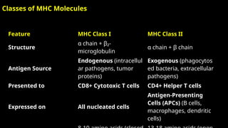 Comprehensive Overview of Lymphocytes, Antigen Presentation, and ...