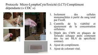 Protocole Micro-LymphoCytoToxicité (LCT) Complément
dépendante (« CDC »)
1. Isolement des cellules
mononucléées à partir du sang total
par Ficoll.
2. Contrôle de la viabilité et
ajustement de la concentration
cellulaire.
3. Dépôt des CMN en plaques de
Terasaki (chaque puits contenant
des Ac ani HLA de spécificité
connue).
4. Ajout de complément.
5. Ajout de colorant vital.
 
