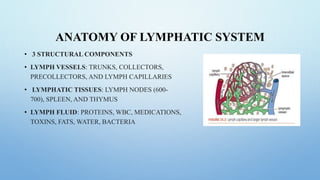 ANATOMY OF LYMPHATIC SYSTEM
• 3 STRUCTURAL COMPONENTS
• LYMPH VESSELS: TRUNKS, COLLECTORS,
PRECOLLECTORS, AND LYMPH CAPILLARIES
• LYMPHATIC TISSUES: LYMPH NODES (600-
700), SPLEEN, AND THYMUS
• LYMPH FLUID: PROTEINS, WBC, MEDICATIONS,
TOXINS, FATS, WATER, BACTERIA
 
