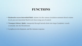 FUNCTIONS
• Reabsorbs excess interstitial fluid: returns it to the venous circulation maintain blood volume
levels prevent interstitial fluid levels from rising out of control.
• Transport dietary lipids: transported through lacteals drain into larger lymphatic vessels
eventually into the bloodstream.
• Lymphocyte development, and the immune response.
 