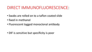 DIRECT IMMUNOFLUORESCENCE:
• Swabs are rolled on to a taflon coated slide
• fixed in methanol
• Fluorescent tagged monoclonal antibody
• DIF is sensitive but specificity is poor
 