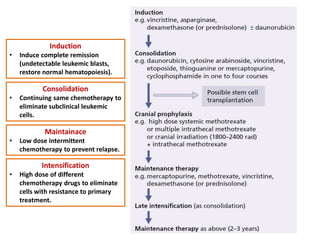 Induction
• Induce complete remission
(undetectable leukemic blasts,
restore normal hematopoiesis).
Consolidation
• Continuing same chemotherapy to
eliminate subclinical leukemic
cells.
Maintainace
• Low dose intermittent
chemotherapy to prevent relapse.
Intensification
• High dose of different
chemotherapy drugs to eliminate
cells with resistance to primary
treatment.
 