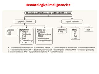 Hematological malignancies
 