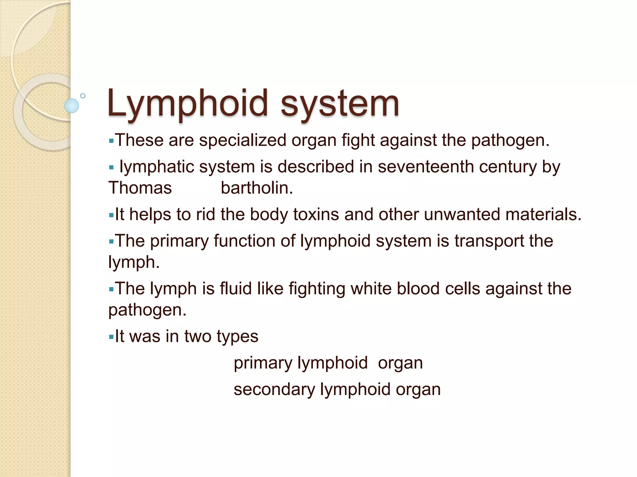 Surprise! Your Lymphoid System Knowledge Will Shock You (Label This!) - gl2j4ym