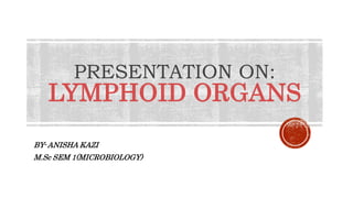 PRESENTATION ON:
LYMPHOID ORGANS
BY- ANISHA KAZI
M.Sc SEM 1(MICROBIOLOGY)
 