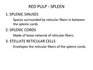 Lymphoid organs | PPT