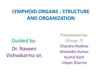 LYMPHOID ORGANS : STRUCTURE
AND ORGANIZATION
Guided by-
Dr. Naveen
Vishvakarma sir.
Presentation by-
(Group -7)
Chandra Shekhar
Dhirendra Kumar
Kushal Kant
Udyan Sharma
 