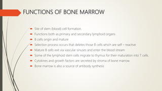 FUNCTIONS OF BONE MARROW
 Site of stem (blood) cell formation.
 Functions both as primary and secondary lymphoid organs
 B cells origin and mature
 Selection process occurs that deletes those B cells which are self – reactive
 Mature B cells exit via vascular sinuses and enter the blood stream
 Some of the lymphoid stem cells migrate to thymus for their maturation into T cells.
 Cytokines and growth factors are secreted by stroma of bone marrow.
 Bone marrow is also a source of antibody synthesis
 