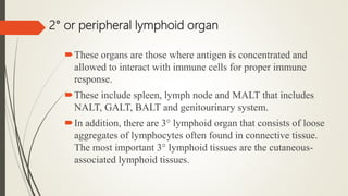 2° or peripheral lymphoid organ
These organs are those where antigen is concentrated and
allowed to interact with immune cells for proper immune
response.
These include spleen, lymph node and MALT that includes
NALT, GALT, BALT and genitourinary system.
In addition, there are 3° lymphoid organ that consists of loose
aggregates of lymphocytes often found in connective tissue.
The most important 3° lymphoid tissues are the cutaneous-
associated lymphoid tissues.
 