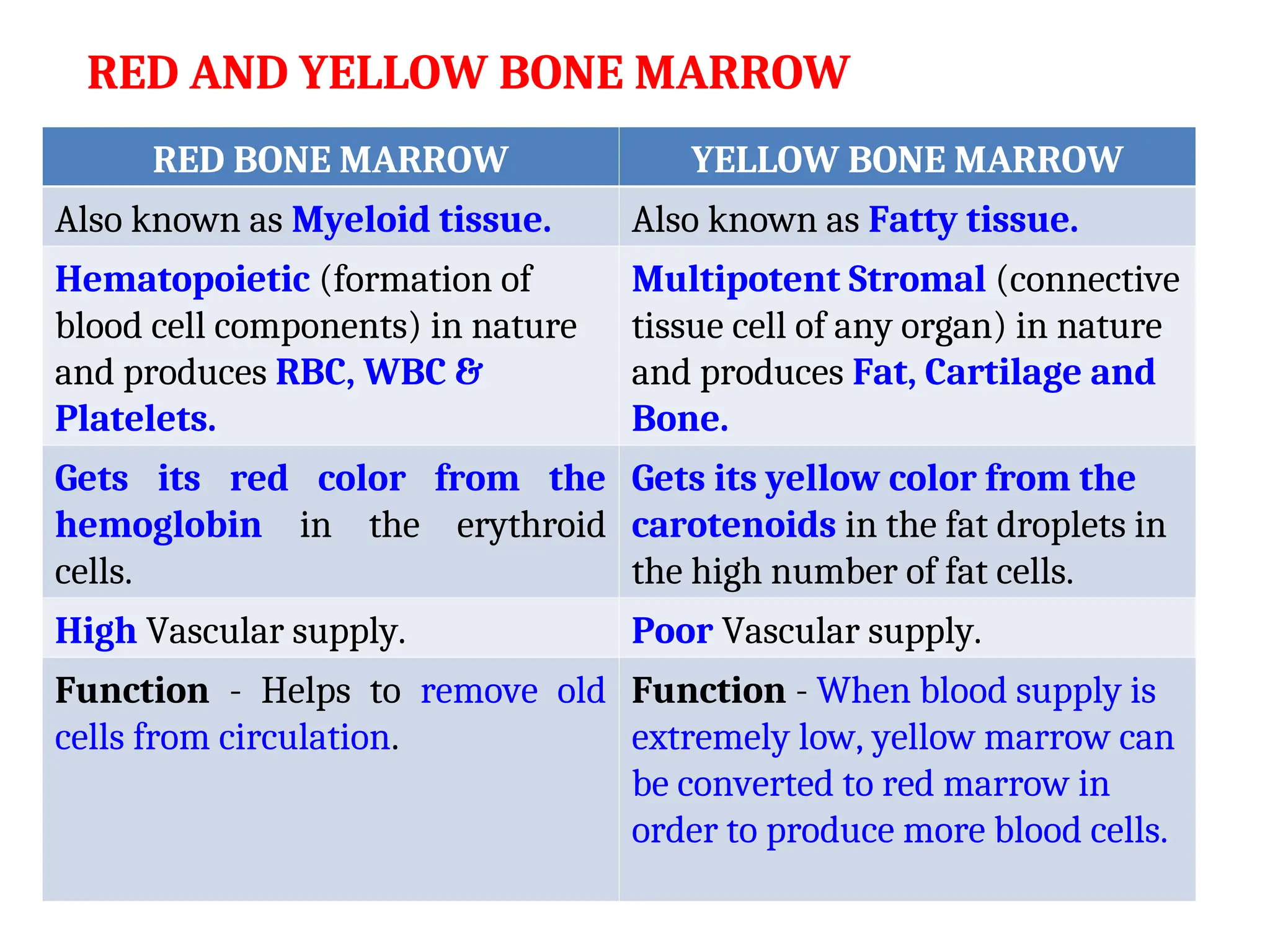 RED AND YELLOW BONE MARROW
RED BONE MARROW YELLOW BONE MARROW
Also known as Myeloid tissue. Also known as Fatty tissue.
Hematopoietic (formation of
blood cell components) in nature
and produces RBC, WBC &
Platelets.
Multipotent Stromal (connective
tissue cell of any organ) in nature
and produces Fat, Cartilage and
Bone.
Gets its red color from the
hemoglobin in the erythroid
cells.
Gets its yellow color from the
carotenoids in the fat droplets in
the high number of fat cells.
High Vascular supply. Poor Vascular supply.
Function - Helps to remove old
cells from circulation.
Function - When blood supply is
extremely low, yellow marrow can
be converted to red marrow in
order to produce more blood cells.
 