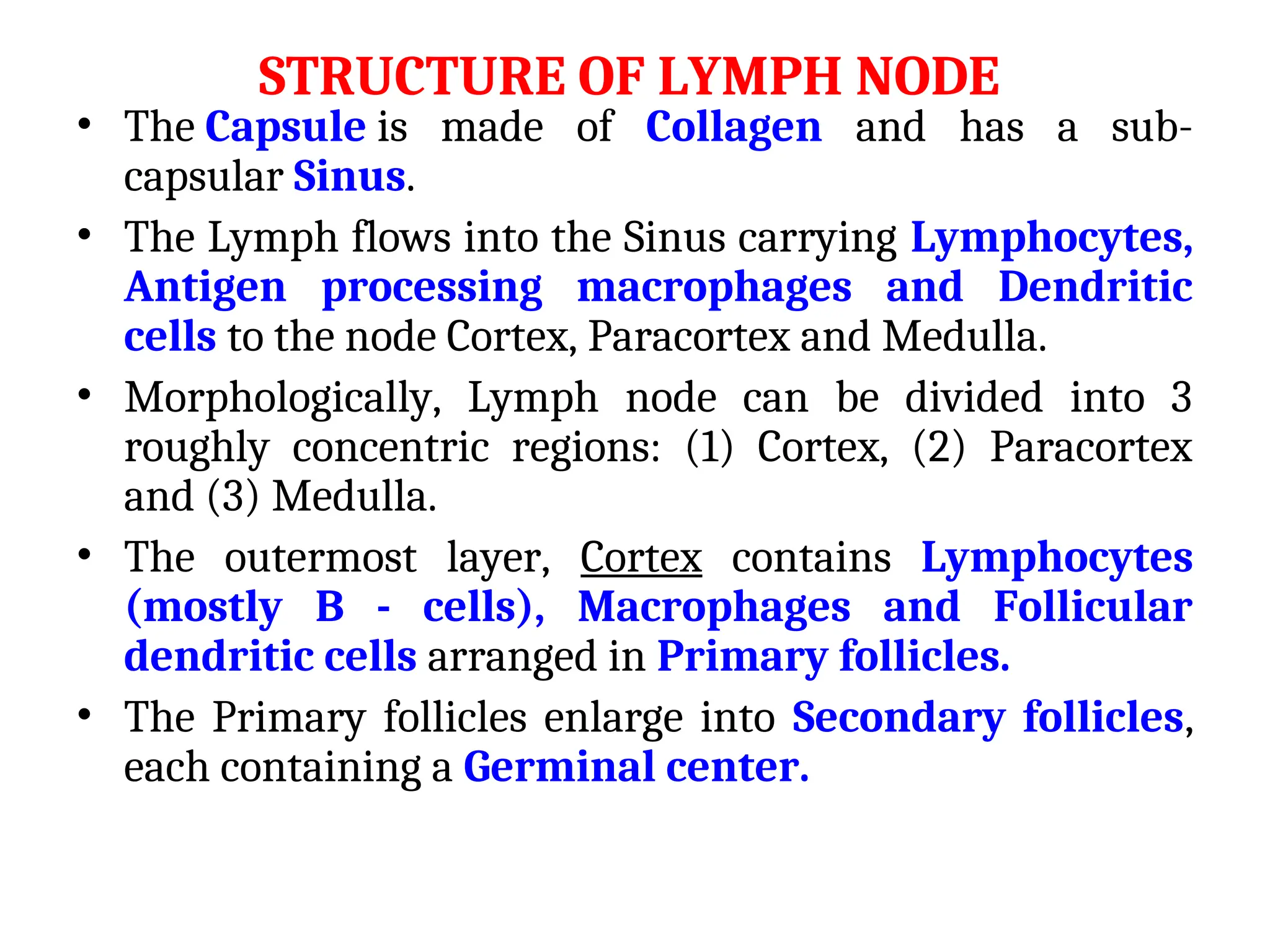 STRUCTURE OF LYMPH NODE
• The Capsule is made of Collagen and has a sub-
capsular Sinus.
• The Lymph flows into the Sinus carrying Lymphocytes,
Antigen processing macrophages and Dendritic
cells to the node Cortex, Paracortex and Medulla.
• Morphologically, Lymph node can be divided into 3
roughly concentric regions: (1) Cortex, (2) Paracortex
and (3) Medulla.
• The outermost layer, Cortex contains Lymphocytes
(mostly B - cells), Macrophages and Follicular
dendritic cells arranged in Primary follicles.
• The Primary follicles enlarge into Secondary follicles,
each containing a Germinal center.
 