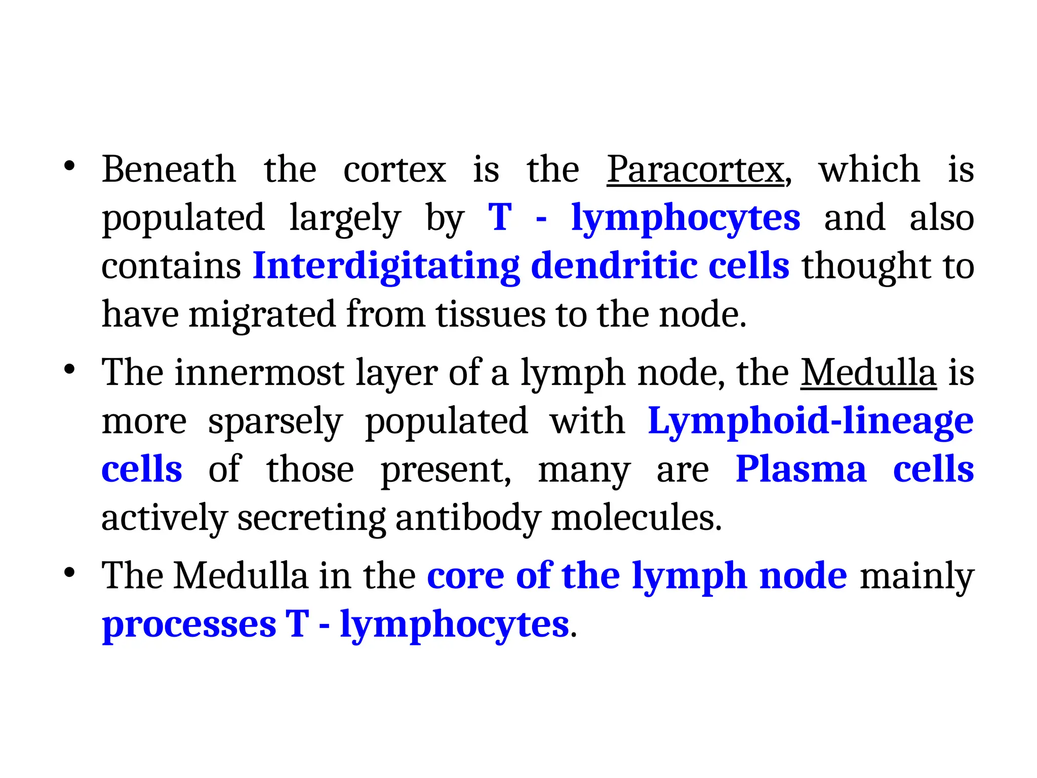 • Beneath the cortex is the Paracortex, which is
populated largely by T - lymphocytes and also
contains Interdigitating dendritic cells thought to
have migrated from tissues to the node.
• The innermost layer of a lymph node, the Medulla is
more sparsely populated with Lymphoid-lineage
cells of those present, many are Plasma cells
actively secreting antibody molecules.
• The Medulla in the core of the lymph node mainly
processes T - lymphocytes.
 