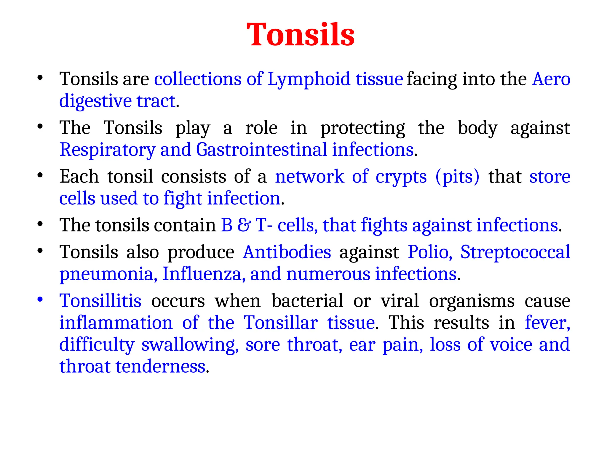 Tonsils
• Tonsils are collections of Lymphoid tissue facing into the Aero
digestive tract.
• The Tonsils play a role in protecting the body against
Respiratory and Gastrointestinal infections.
• Each tonsil consists of a network of crypts (pits) that store
cells used to fight infection.
• The tonsils contain B & T- cells, that fights against infections.
• Tonsils also produce Antibodies against Polio, Streptococcal
pneumonia, Influenza, and numerous infections.
• Tonsillitis occurs when bacterial or viral organisms cause
inflammation of the Tonsillar tissue. This results in fever,
difficulty swallowing, sore throat, ear pain, loss of voice and
throat tenderness.
 
