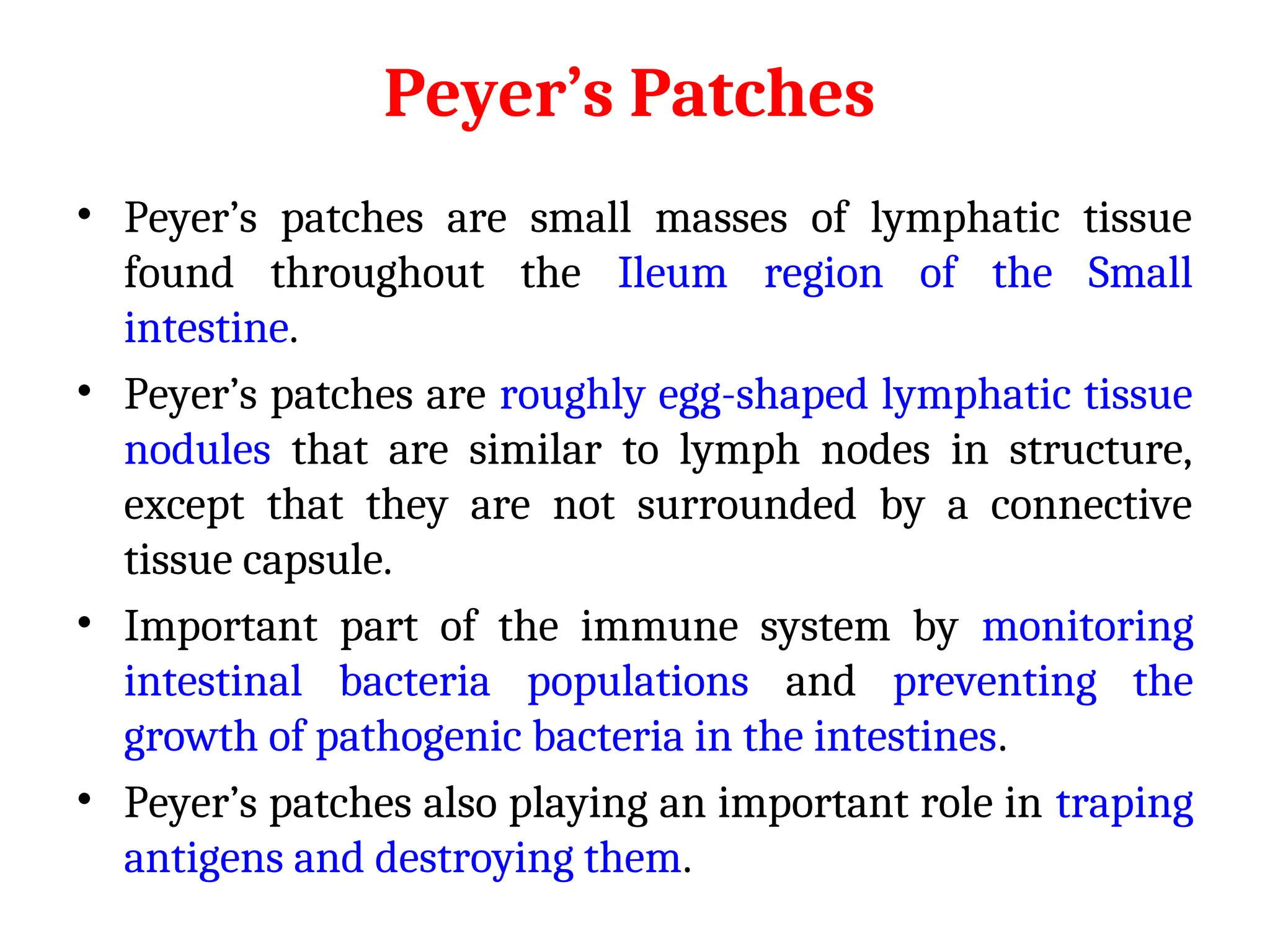 Peyer’s Patches
• Peyer’s patches are small masses of lymphatic tissue
found throughout the Ileum region of the Small
intestine.
• Peyer’s patches are roughly egg-shaped lymphatic tissue
nodules that are similar to lymph nodes in structure,
except that they are not surrounded by a connective
tissue capsule.
• Important part of the immune system by monitoring
intestinal bacteria populations and preventing the
growth of pathogenic bacteria in the intestines.
• Peyer’s patches also playing an important role in traping
antigens and destroying them.
 