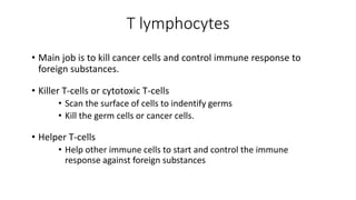 Lymphoid system and cytokines | PPTX